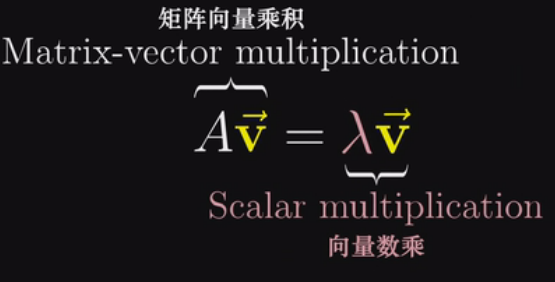_images/特征向量2.png